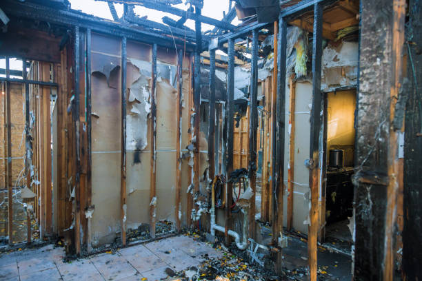 Professional Fire Damage Removal technician working in Grantsburg, WI